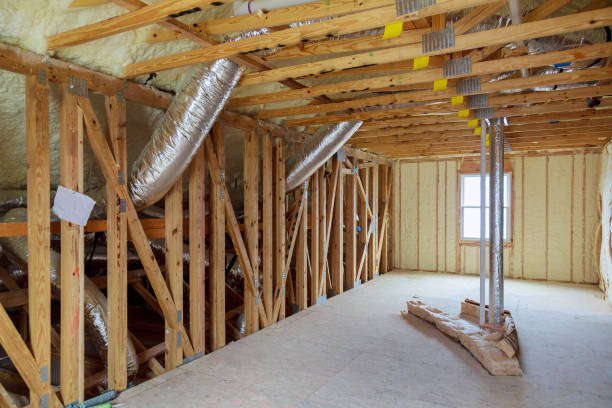 Best Insulation Removal  in Bartlett, TX