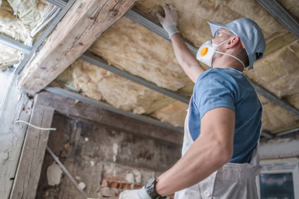 Best Insulation Contractor Near Me  in Bartlett, TX