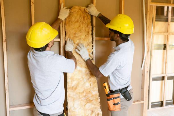 Best Home Insulation Services  in Bartlett, TX