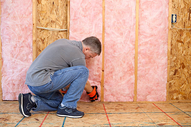 Best Insulation Inspection Services  in Bartlett, TX